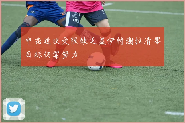 申花进攻受限缺乏盖伊特谢拉清零目标仍需努力