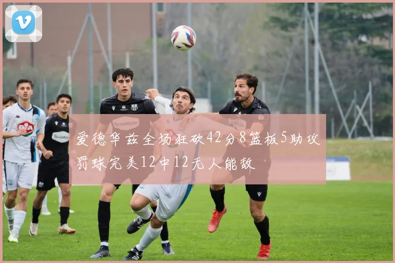 爱德华兹全场狂砍42分8篮板5助攻罚球完美12中12无人能敌